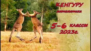 Олимпиада "Кенгуру". 5-6 класс. 2023 г. Подробные решения с советами :)