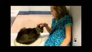 Top 10 Reasons to Adopt an Older Animal | Houston SPCA