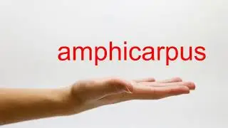 How to Pronounce amphicarpus - American English