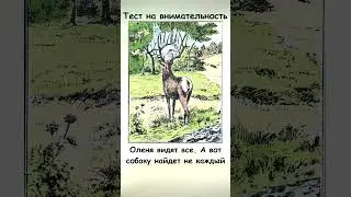 Сможете найти на картинке собаку?