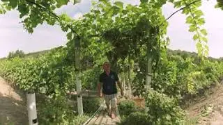 Meșter Faur Guest House 360 video