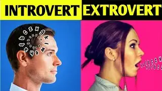9 Things Introverts Do Better Than Extroverts||Introverts vs Extroverts||Foxtube