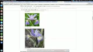 Tutorial Scikitlearn - 1