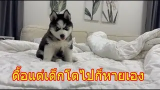 อันไหนที่พ่อบอกจะทำตรงข้ามหมด
