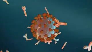 D Trump treatment based on synthetic antibodies developed by the biotechnology company Regeneron