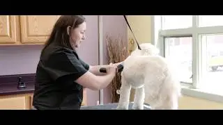 WAHL Creativa Full Length