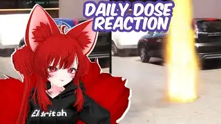 Foxy Reacts to Daily Dose and the New York Sewers!