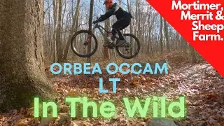 Orbea Occam LT 