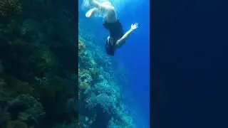 Красное море 2023.Sharm el naga lodge.Snorkeling.Египет.