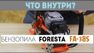 Chainsaw Foresta FA-38S - What's inside?