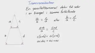 Matte 2 - Adam - Geometri - Transversalsatsen