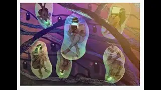 Dream! The Dark Ones said they recruit channels on the internet, and they recruit Souls by connec...