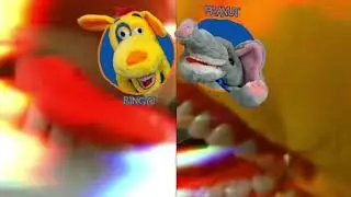 bingopeanut001