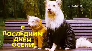 Прощай, Осень! #осень