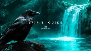 Raven Spirit Guide | Stillness After Change