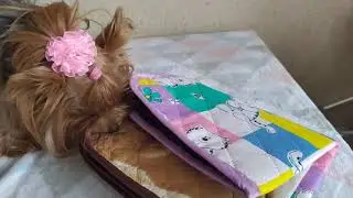 Покупки для собаки. Новый лежачек и многоразовые пеленки