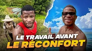 MON RETOUR EN MARTINIQUE (PART.2) : LE TRAVAIL AVANT LE RECONFORT