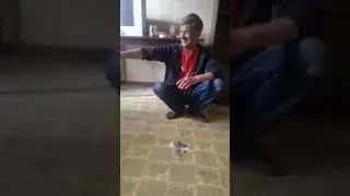 Жизнь в изоляции