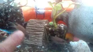 Принцесса Бурунди. #13. Так всегда начинается наше утро.