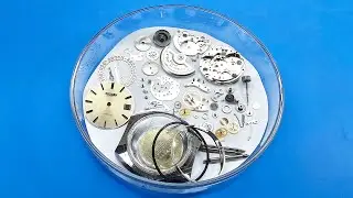 CITIZEN 6000 17 JEWELS SERVICE