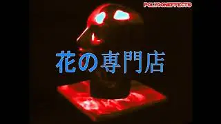 MACINTOSH PLUS - 花の専門店 [愚かな専攻/IDIOTEQUE MAJOR]
