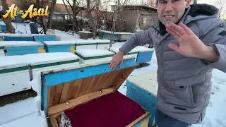СИЧҚОНГА ДОРИ, АСАЛАРИГА ҲАВО…