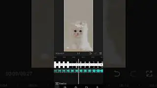 Slowmo CapCut Interface CapCut Interface CapCut Template # 2
