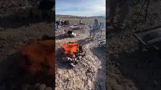 This Campfire Is Big and Hot || Short Van Life Adventures Making A Huge Campfire