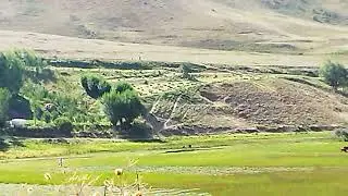 Жерге-тал Чар айылы