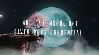 “The Insect” LYRIC VIDEO 💕