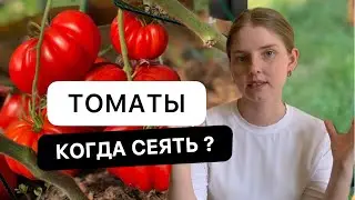 КОГДА САЖАТЬ ТОМАТЫ на рассаду в 2023 году