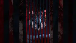 kasandra remix