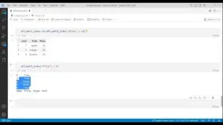 Python Dataframes Index | Part -2 | loc , iloc | reset index