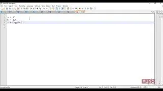 What is Data Type in Python | Yuno Learning