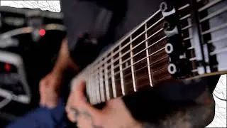 Gray Henry - Shattered Symmetry - Featuring Pro Tone Pedals Preamp - 8 String Guitar