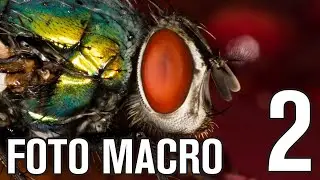 Foto Macro Parte 2 - Tubos de extensión y fuelles
