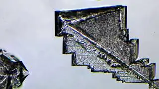 Incredible capture of growing salt crystal!