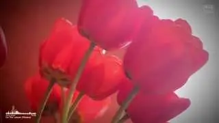 SexyBabyCensored