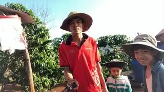 Dẫn Cả Biệt Đội Đi Đào Dế Cơm_Làm Món Dế Cơm Chiên Giòn Bao Ngon