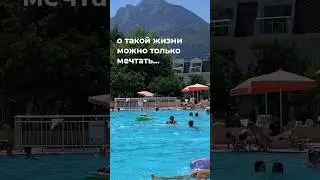 Жизнь в Турции на самом деле 🤡 
