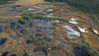 Häckelsängs högmosse och Gnagmur Naturreservat