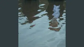 Существо