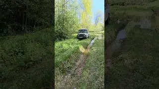 приколы,цитаты #прикол #юмор #humor #цитаты #shorts #tiktok #шутка #ржака #automobile #youtubeshorts