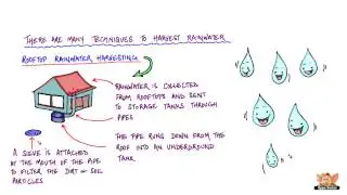 Water - Rainwater Harvesting