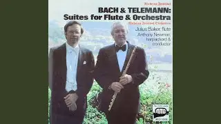 Suite in A minor for Flute, Strings & Continuo: IV. Menuet