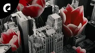 Superintendent McCupcakes - Tulips