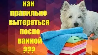 как правильно надо вытираться после ванной???
