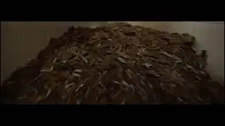 Indramayu remaja