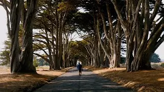 Pacific Coast Highway // iPhone 12 Pro Max // SANDMARC Anamorphic