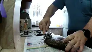 Быстрая чистка леща